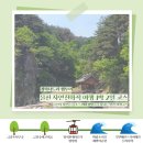 두천1리 주막촌 | [경북 울진 팸투어] 1박 2일 자연친화적 여행 + 울진 산불 화재 복구 볼런 투어