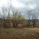 원천목욕탕 이미지