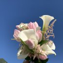 신 기 | [W2] 광주 그리프 스튜디오 촬영후기&amp;셀렉후기