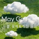 핀하이골프랩 네이버블로그