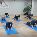 건강체형교실 이미지