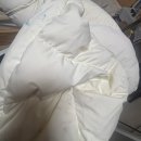 깜 당구장 이미지