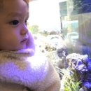 단짠아쿠아 삼천점 이미지