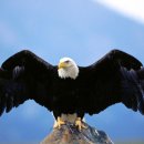 과천초등학교 이미지