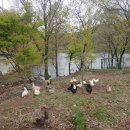 안골민박 이미지