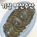 공수마을회관 | 부산 기장 생새우 포장 맛집 평산수산의 활새우 신선함 추천 후기