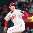 기순정비 스포츠조선