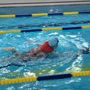 배방파인트리수영장 이미지