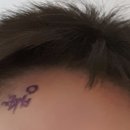 뚝불즉석떡볶이 이미지
