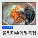 굴세상 메밀국수 | 충북 옥천 메밀 맛집 울엄마 손 메밀묵집 손메밀냉묵채, 메밀부추전 후기