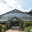 국립수목원 산림박물관 이미지