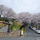 진주시립연암도서관 이미지