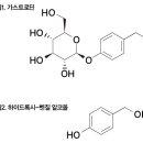 천마 이미지