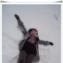 석  촌 Daum카페