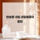 엘로이네일