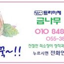 금나무 공인중개사사무소 이미지