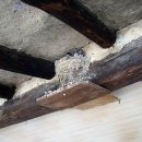 고향내음 이미지