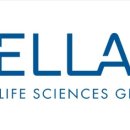 [미국 주식 기업 정보] Sellas Life Sciences Group Inc 셀라스 라이프 사이언스 그룹 (SLS)