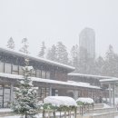 쿠모(KUMO) | 홋카이도 겨울여행 호시노 리조트 토마무 무빙테라스 곤돌라 시간부터 쿠모 카페 메뉴 추천