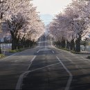 충훈터널 입구 이미지