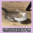 펫갤러리 | 전남 담양 실내 동물원 직접 만져보고 먹어주기 체험도 가능한 플레이펫