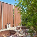 다빈농장 이미지