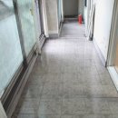 금성빌라 앞 이미지