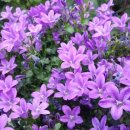 동산밧데리 이미지