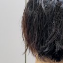 Point-봄의 향 | 탈모 트리트먼트 봄비유 한올 LPP 단백질 글라이신 헤어팩 탈모 기능성 헤어 트리트먼트