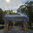 샘머리유치원 | 2023 대전 축제 서구 힐링 아트 페스티벌 후기