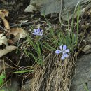 머리풍경 이미지