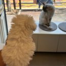 김민성 동물병원 이미지