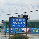 별꼴버섯