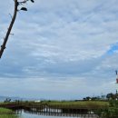 사하구 캐릭터 상징 이미지