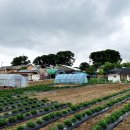 당산농장 이미지