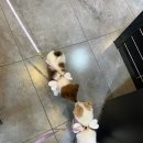 준 헤어라떼