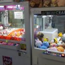 푸쉬푸쉬 인형뽑기방 이미지