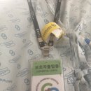반도병원 | 충북대학교병원 산부인과 쌍둥이 제왕절개 후기