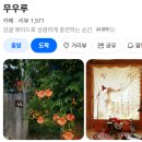 구례의휴일 | 네이버지도 저장 1000개 돌파한 별친자의 하동구례여행 쪽집게 정리
