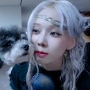 꼬순내 이미지