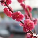 원동1공원 이미지