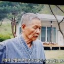 꿀벌부부