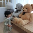 포노포노스튜디오 | 광교 가족사진 잘찍는 곳, <광교 포노포노 스튜디오 베이비 프로필> 후기 : 쌍둥이 두돌사진 찍고왔어요^^