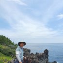 중문대포주상절리대 이미지