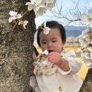 오섬권역농어촌체험휴양마을 이미지