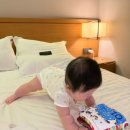 시온목욕탕 | [6개월 아기랑 제주도 3박4일 여행기] 3,4일차