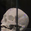 영광사이언스 | [국립현대미술관] 쉬고있는중 청년의 관람평! <데이미언 허스트 개인전>