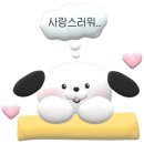 인생멍컷 이미지