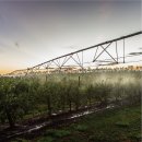 대지농장 이미지