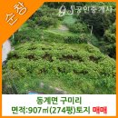 동계면사무소 이미지